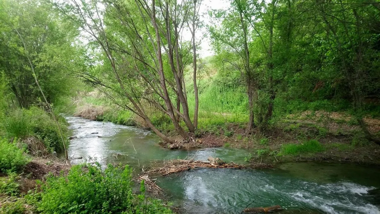 Valle Del Genil Pinos Genil España